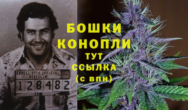 ГАЛЛЮЦИНОГЕННЫЕ ГРИБЫ Беломорск
