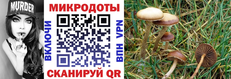 ссылка на мегу ТОР  Мглин  Псилоцибиновые грибы Magic Shrooms 